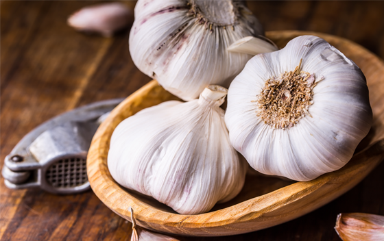 กระเทียมสมุนไพรต้านหวัด