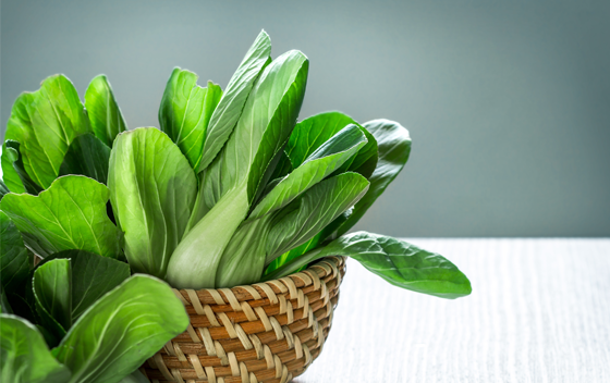 กวางตุ้งผักยอดฮิตประโยชน์สุดฮอต